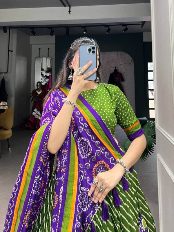 Aadvika Lehenga Choli