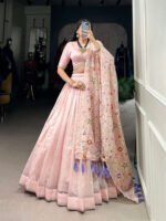 Rosé Reverie Mini Lehenga Choli