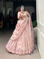Rosé Reverie Mini Lehenga Choli