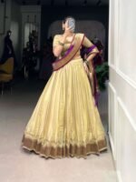 Paithani Lehenga Choli