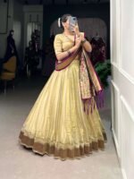 Paithani Lehenga Choli