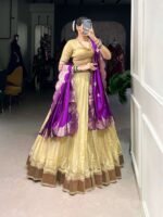 Paithani Lehenga Choli