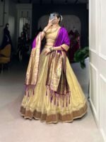 Paithani Lehenga Choli