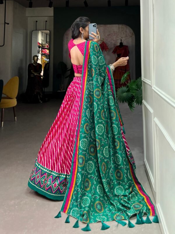Aadvika Lehenga Choli