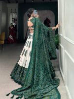 Aarohi Aura Lehenga