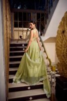 Gold Crush Lehenga Choli