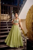 Gold Crush Lehenga Choli