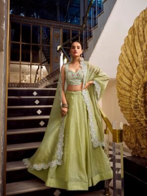 Gold Crush Lehenga Choli