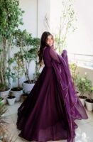 Puja Perfect Embroidered Gown