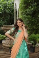 Krupa Jacquard Lehenga Choli